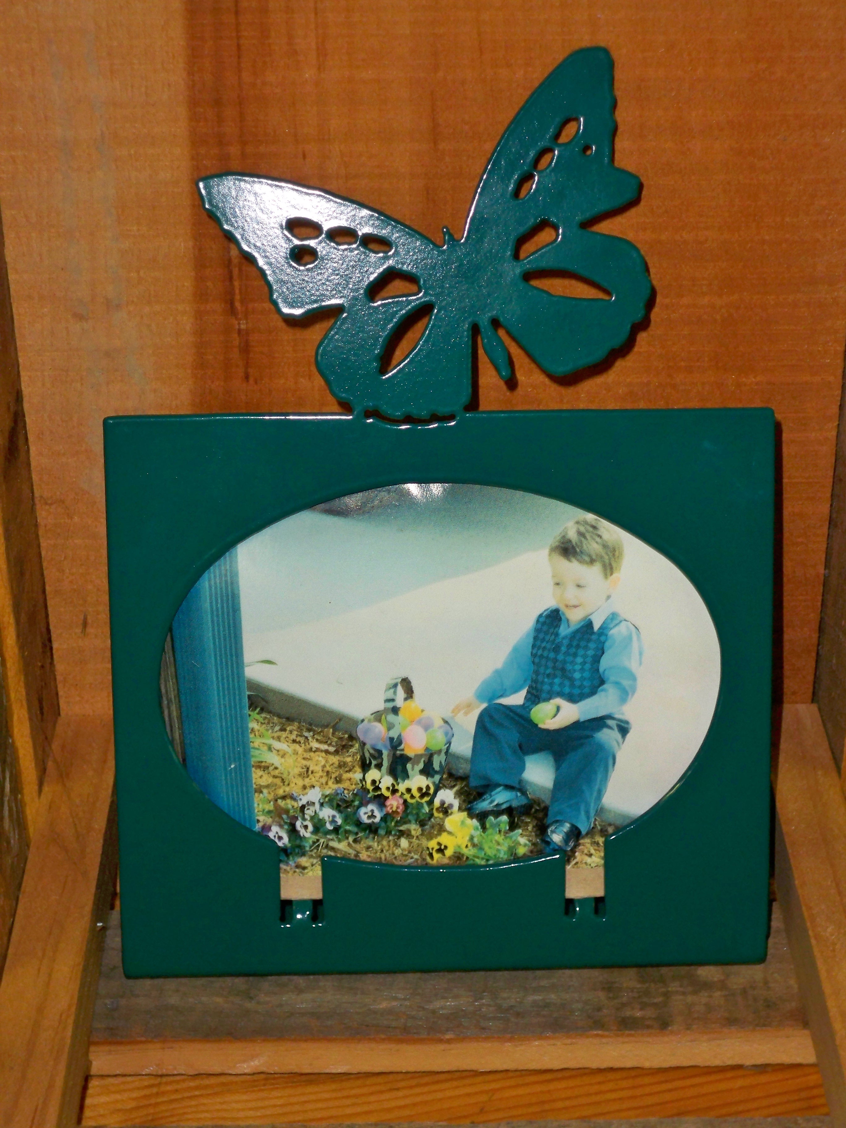 Butterfly Picture Frame